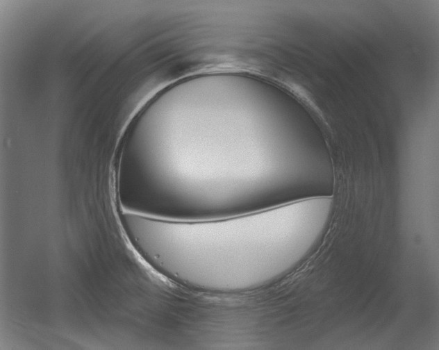 X0000054361476200507290752