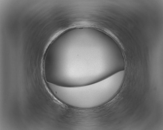 X0000054361477200507290752