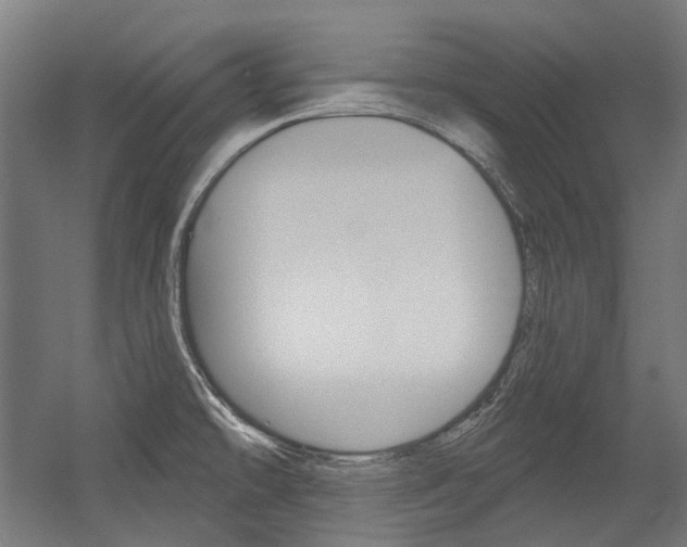 X0000054361478200507290752