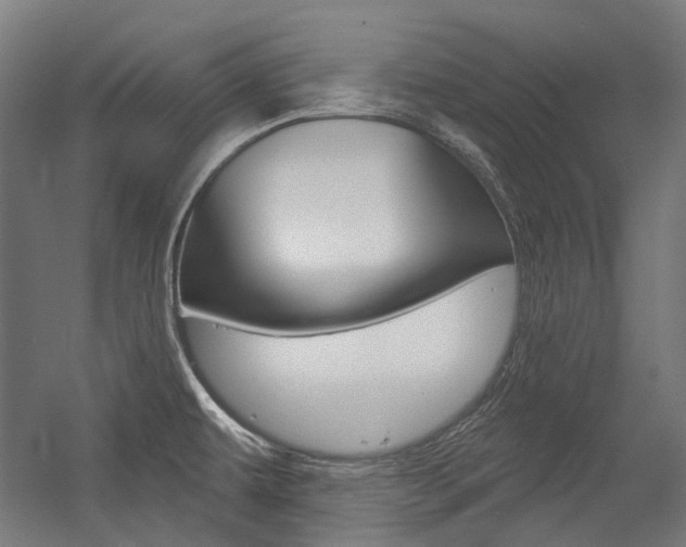 X0000054361479200507290752