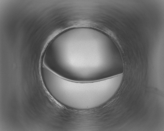 X0000054361480200507290752