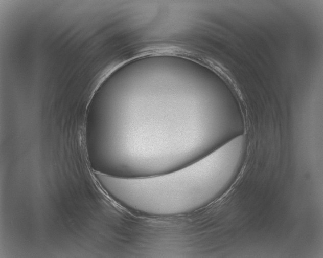 X0000054361481200507290752