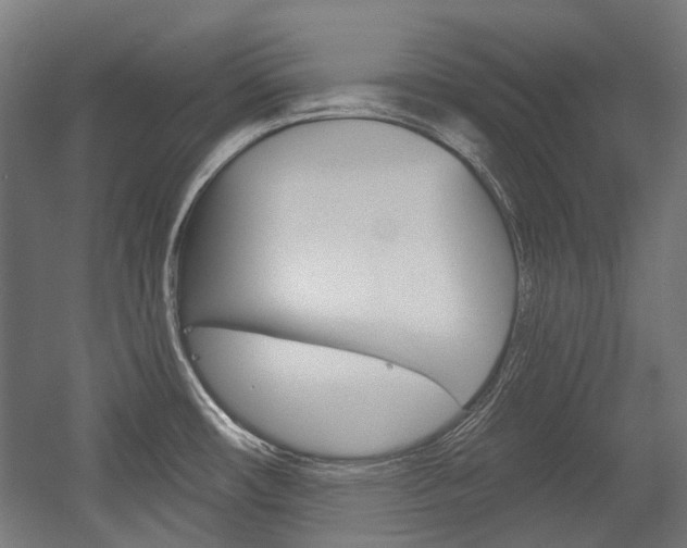 X0000054361482200507290752