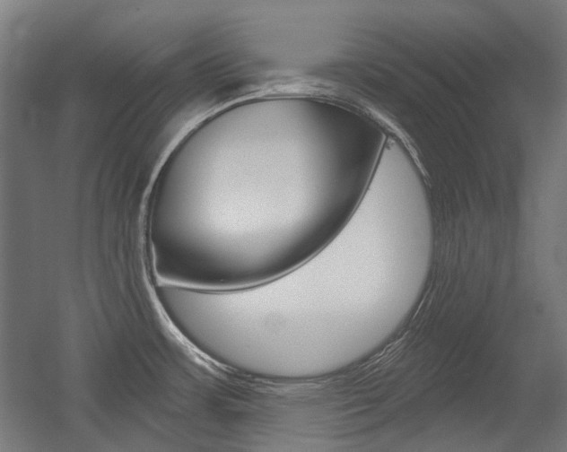 X0000054361483200507290752