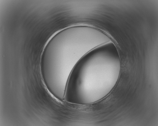 X0000054361484200507290752
