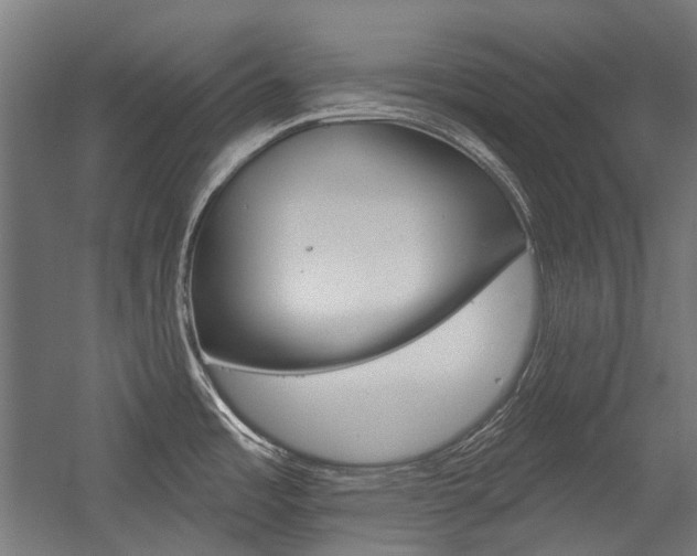 X0000054361485200507290752