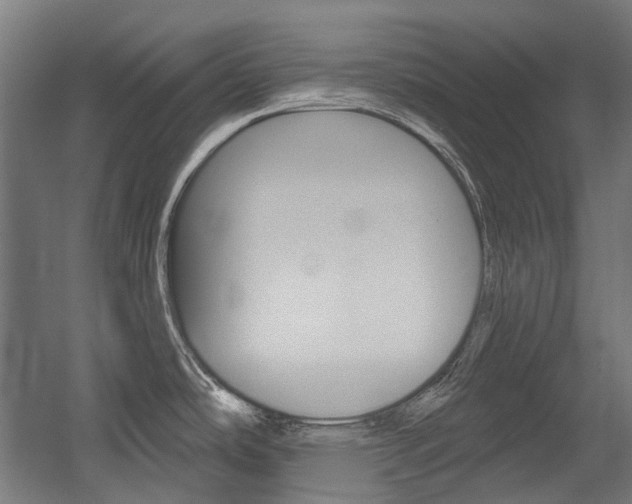 X0000054361486200507290752