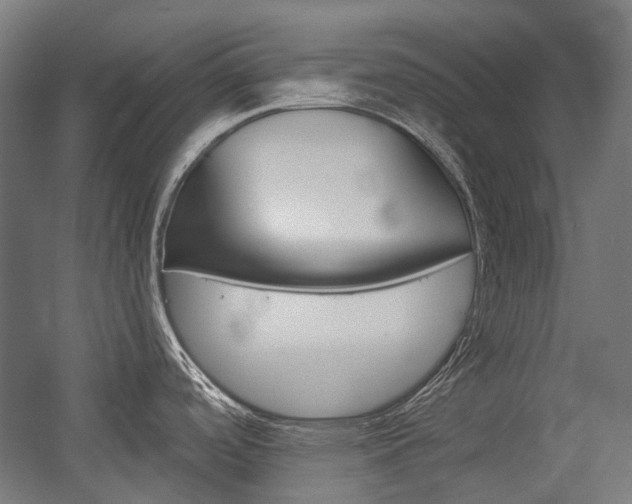 X0000054361488200507290752