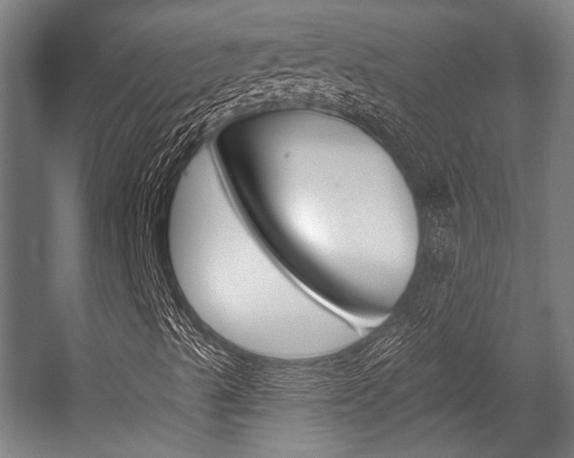 X0000054361489200507290751