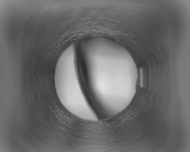 X0000054361491200507290751