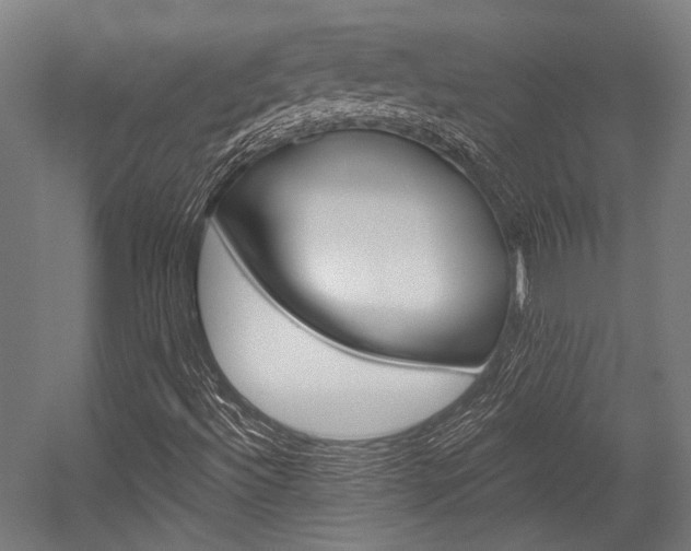 X0000054361492200507290751