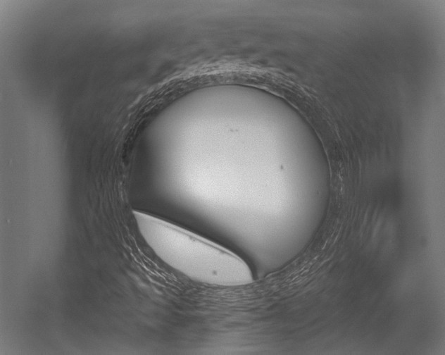 X0000054361493200507290751