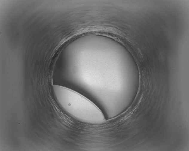 X0000054361497200507290751