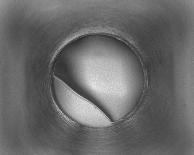 X0000054361500200507290751