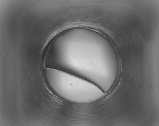 X0000054361501200507290751