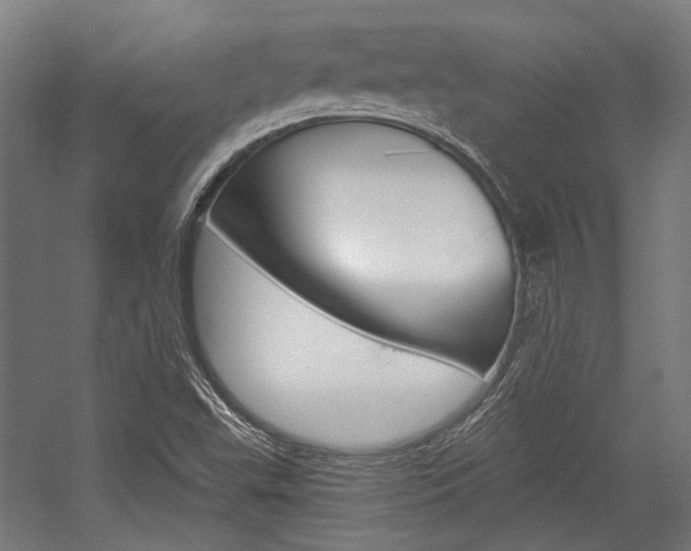 X0000054361503200507290751