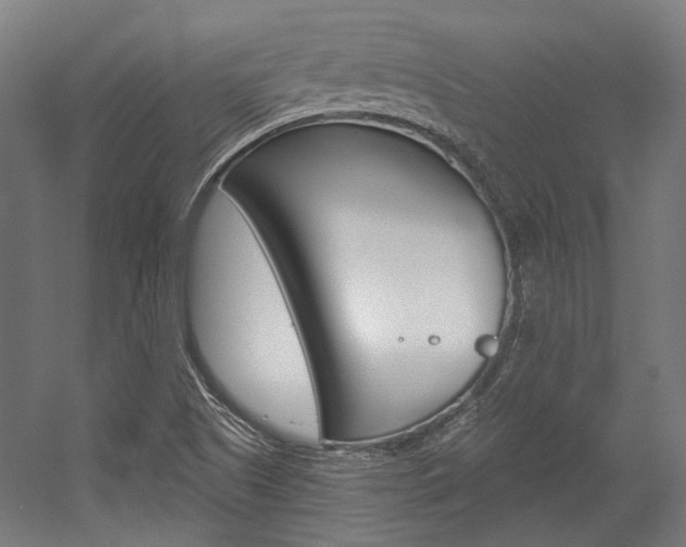 X0000054361505200507290751