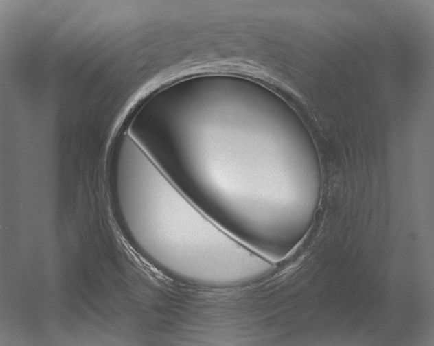 X0000054361506200507290751