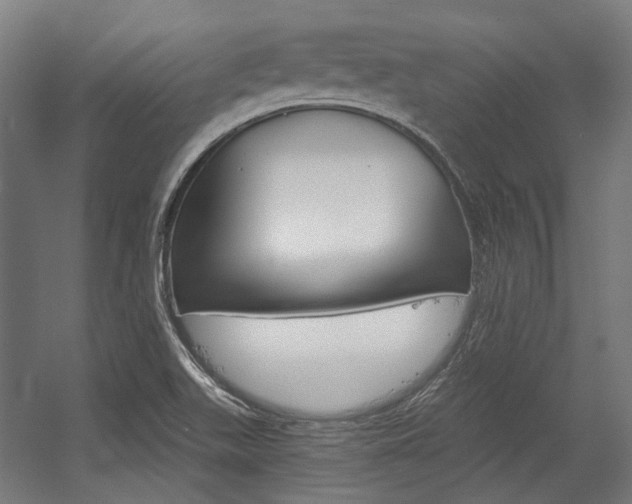X0000054361511200507290751