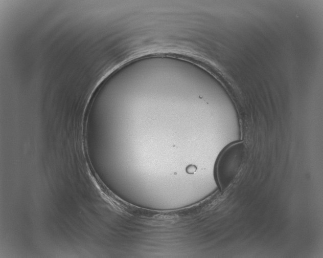 X0000054361513200507290751