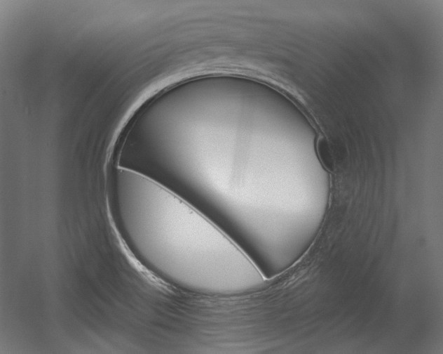 X0000054361515200507290751
