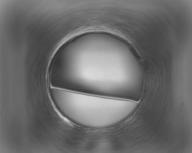 X0000054361519200507290751