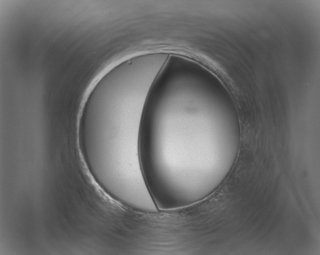 X0000054361520200507290751