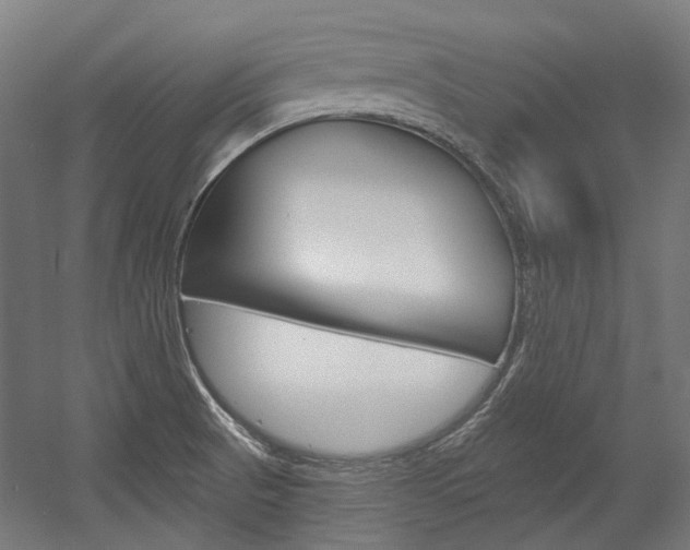 X0000054361521200507290751