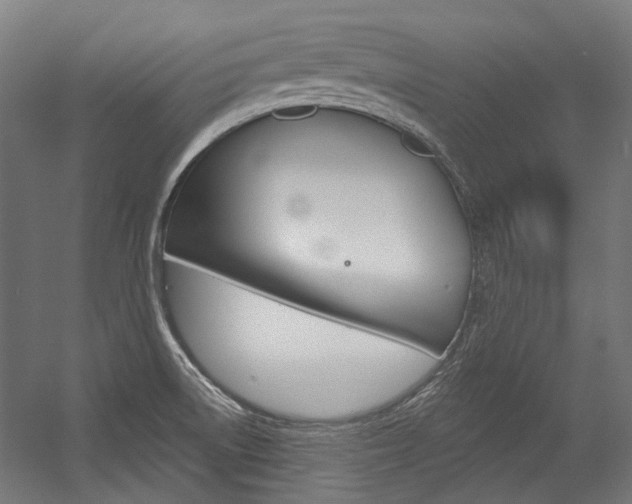 X0000054361522200507290751