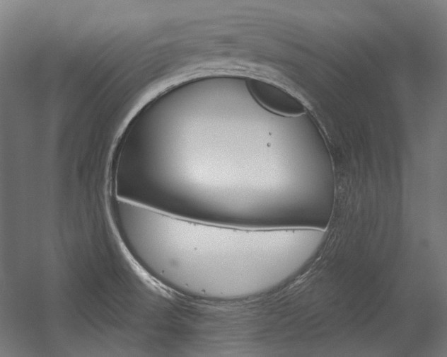 X0000054361523200507290751
