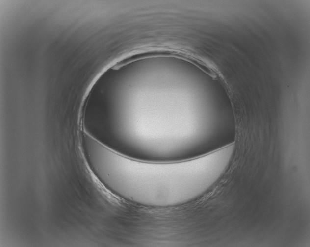 X0000054361524200507290751