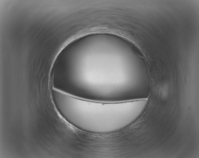 X0000054361527200507290751