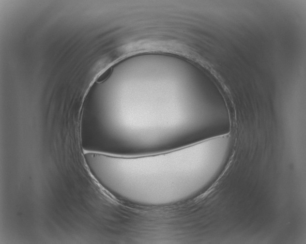 X0000054361529200507290752