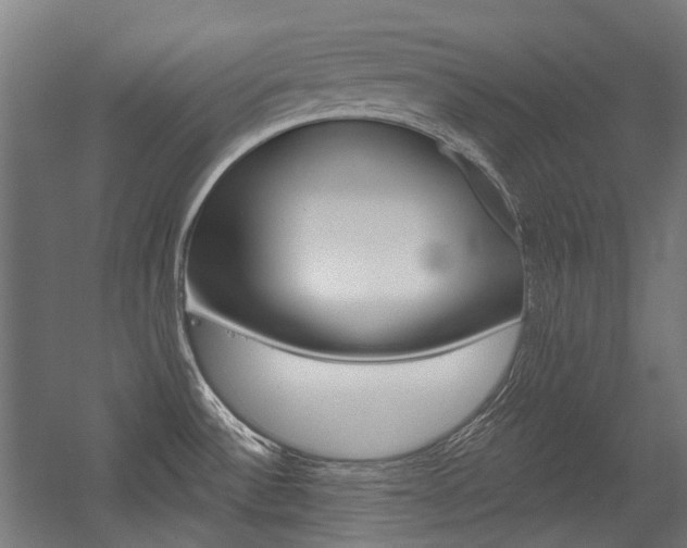 X0000054361532200507290752