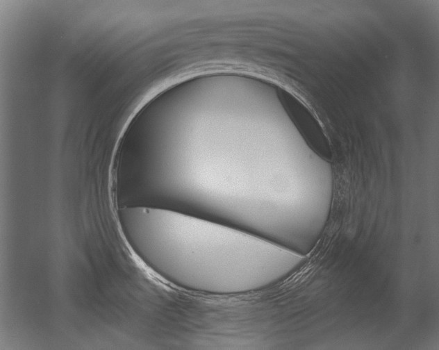 X0000054361535200507290752