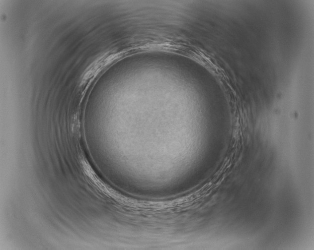 X0000054360002200507291033