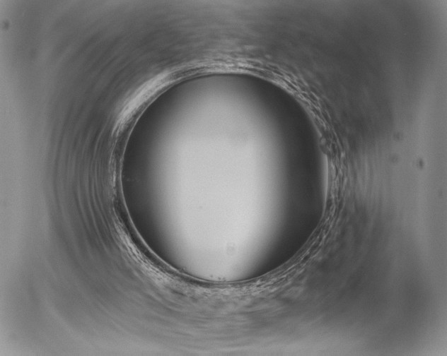 X0000054360005200507291033