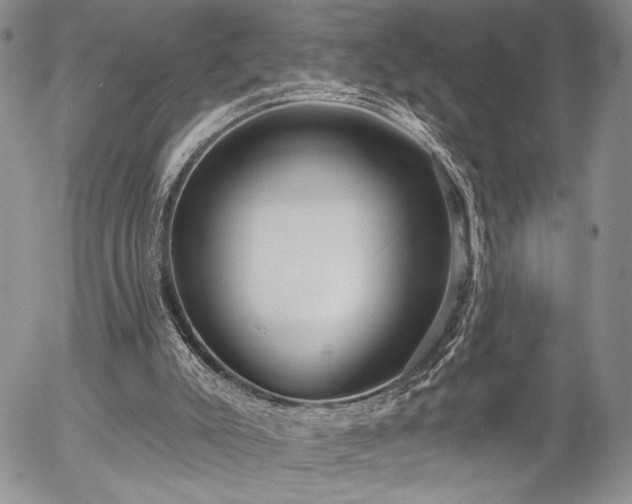 X0000054360007200507291033