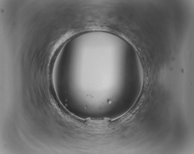 X0000054360008200507291033