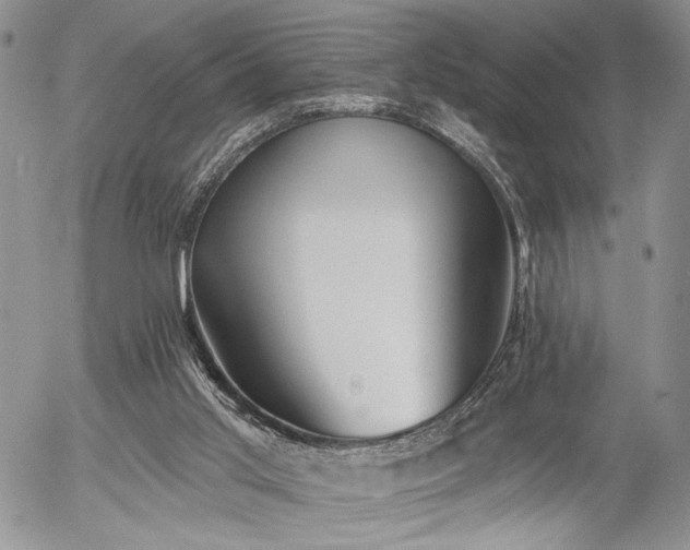 X0000054360013200507291033