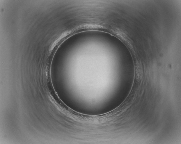 X0000054360015200507291033