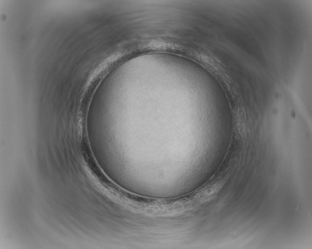 X0000054360016200507291033