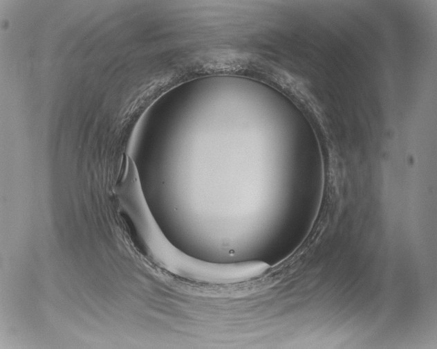 X0000054360017200507291033