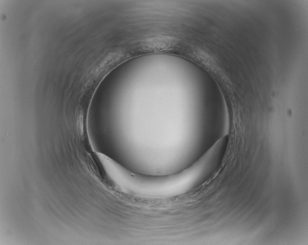 X0000054360021200507291033