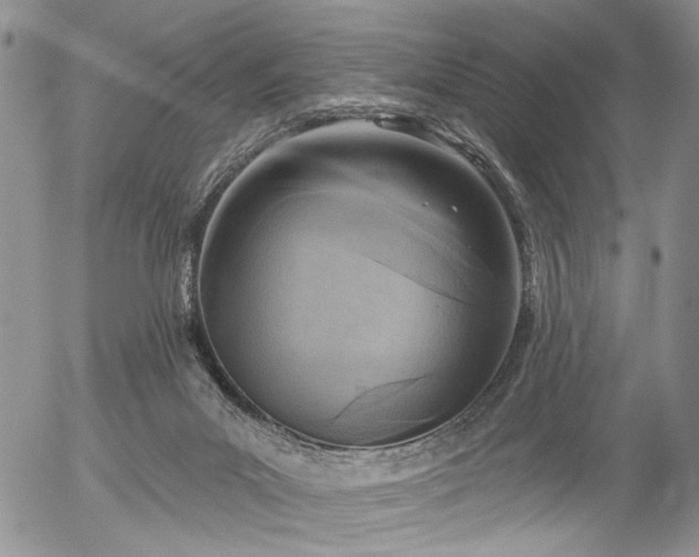 X0000054360023200507291033