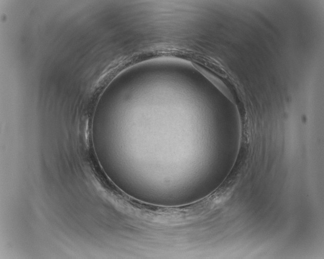 X0000054360024200507291033