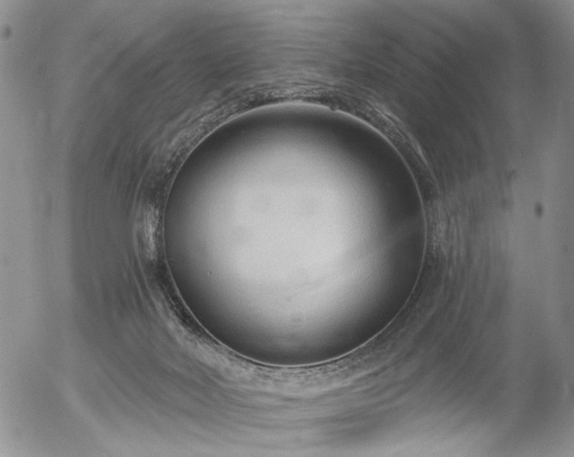 X0000054360026200507291033