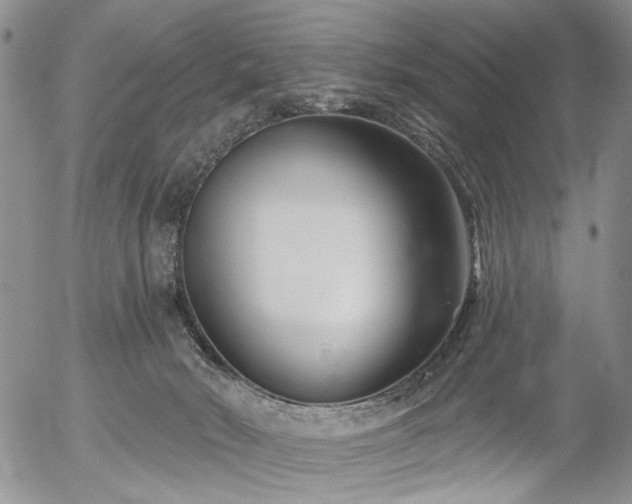 X0000054360030200507291033