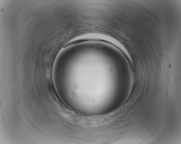 X0000054360033200507291033