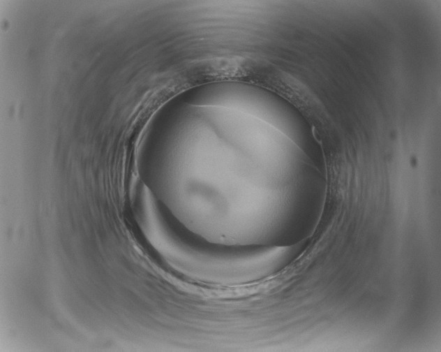 X0000054360035200507291032